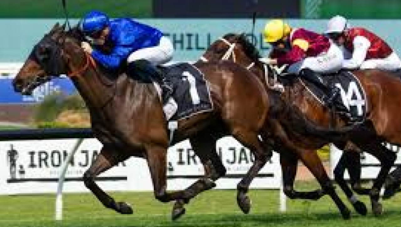 Arap ve İngiliz saf kan yarış Atları